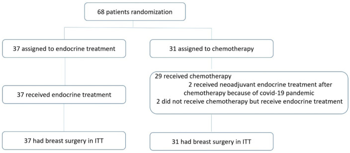 A Non-Inferior Randomized Trial of Neoadjuvant Endocrine Therapy Compared to Neoadjuvant Chemotherapy in Premenopausal Patients With Hormone-Responsive and HER2-Negative Lymph Node-Negative Breast Cancer.
