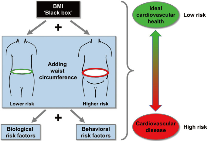 Obesity Phenotypes, Lifestyle Medicine, and Population Health: Precision Needed Everywhere!