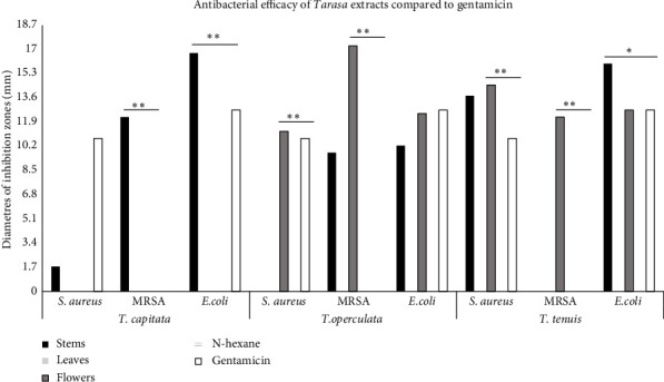 Antibacterial Activity of Peruvian <i>Tarasa</i> Species: A Comparative Study of the Antimicrobial Effects of Extracts From Three Different <i>Tarasa</i> Species, <i>T. capitata</i>, <i>T. operculata</i> and <i>T. tenuis</i>, Against Human Pathogens.