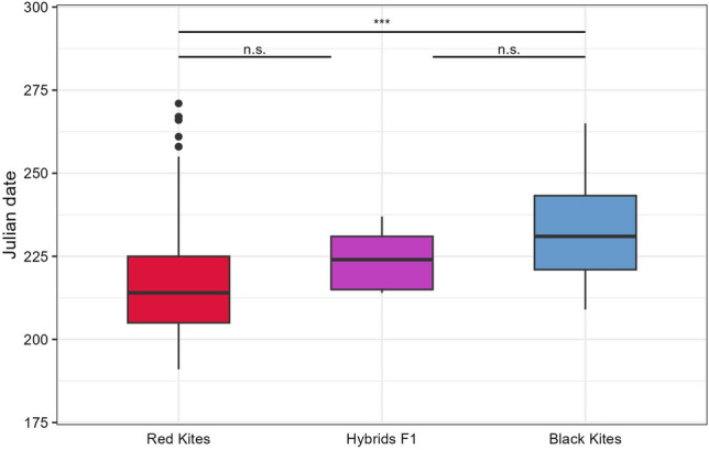 Evidence of genetic determination of annual movement strategies in medium-sized raptors.