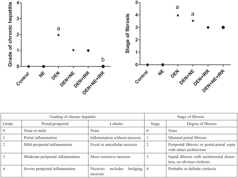 <i>Washingtonia robusta</i> H. Wendl Leaf Metabolites Potentiate the Radiosensitivity of Hepatocellular Carcinoma Through Ki67 and PARP Inhibition.