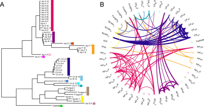 Antarctic Krill with parasites grow slower than uninfected peers.