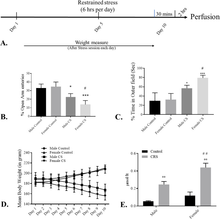 Altered Serotonin 5HT-1B Receptor Expression Regulate Sex-dependent Difference for Stress and Anxiety.