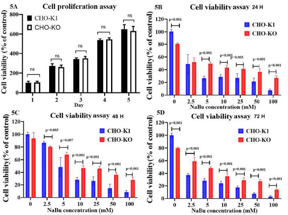 A CRISPR-HITI strategy approach to improve CHO cell viability by modifying the 3'UTR of Caspase 8 Associated Protein 2.