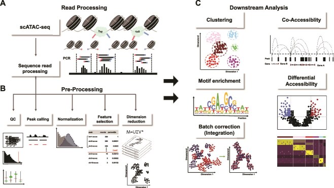 Application of computational algorithms for single-cell RNA-seq and ATAC-seq in neurodegenerative diseases.