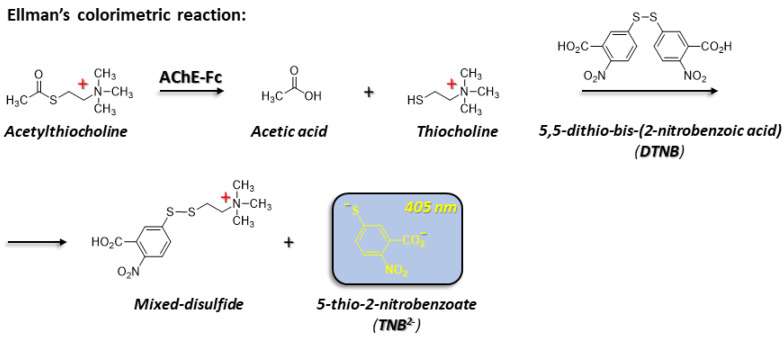 Purification of a Fc-Fusion Protein with [Bathophenathroline:metal] Complexes.