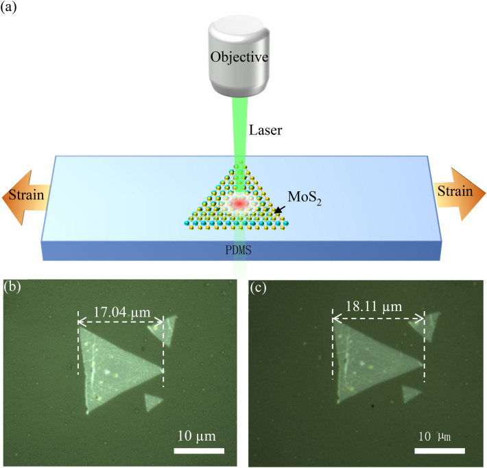 Reduction in thermal conductivity of monolayer MoS<sub>2</sub> by large mechanical strains for efficient thermal management.