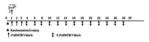 Restorative effects of camellia oil on the skin-barrier function in a model of DNCB-induced atopic dermatitis.