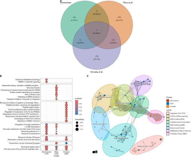 Comparative proteomic analysis of astrocytoma tissues from patients with and without seizures.