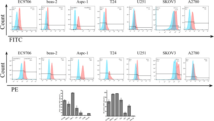 Bispecific c-Met/PD-1 CAR-T Cells Have Enhanced Therapeutic Effects on Solid Tumor.