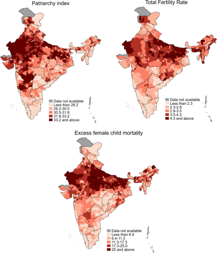 Patriarchy, Fertility and Excess Female Child Mortality in India.