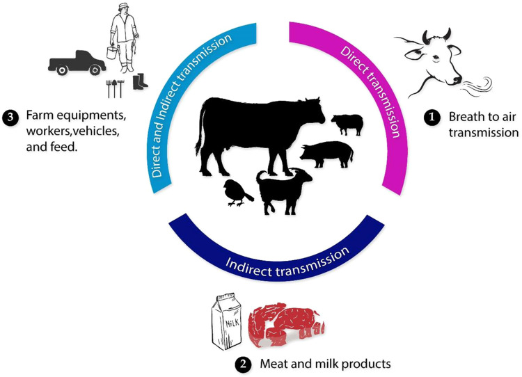 Foot-and-mouth disease in Asia