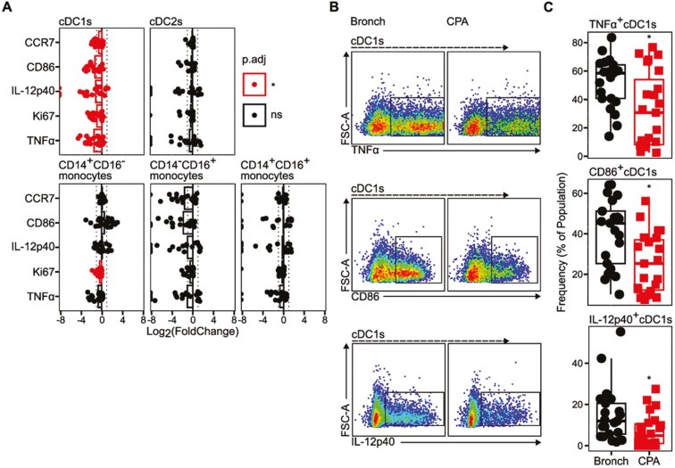 Dendritic cell dysfunction, including impaired IL-12 production, is associated with chronic pulmonary aspergillosis.