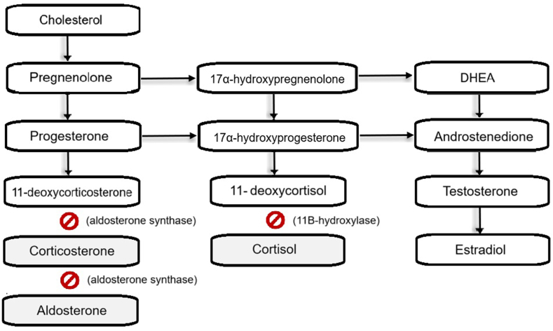 A Case of Severe Cushing Syndrome due to Metastatic Adrenocortical Carcinoma Treated With Osilodrostat