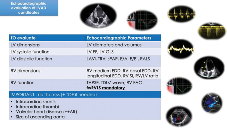 How to Do Echo in Left Ventricular Assist Device Candidates: A Consensus Statement of the Italian Society of Echocardiography and Cardiovascular Imaging.