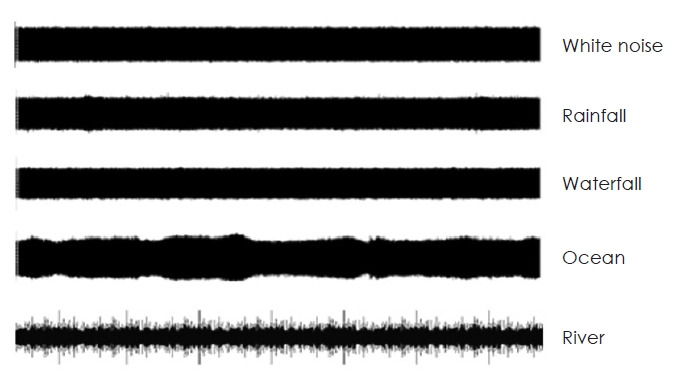 Influence of Different Types of Contralateral Suppression Tones on Otoacoustic Emission in Children With Autism Spectrum Disorder.