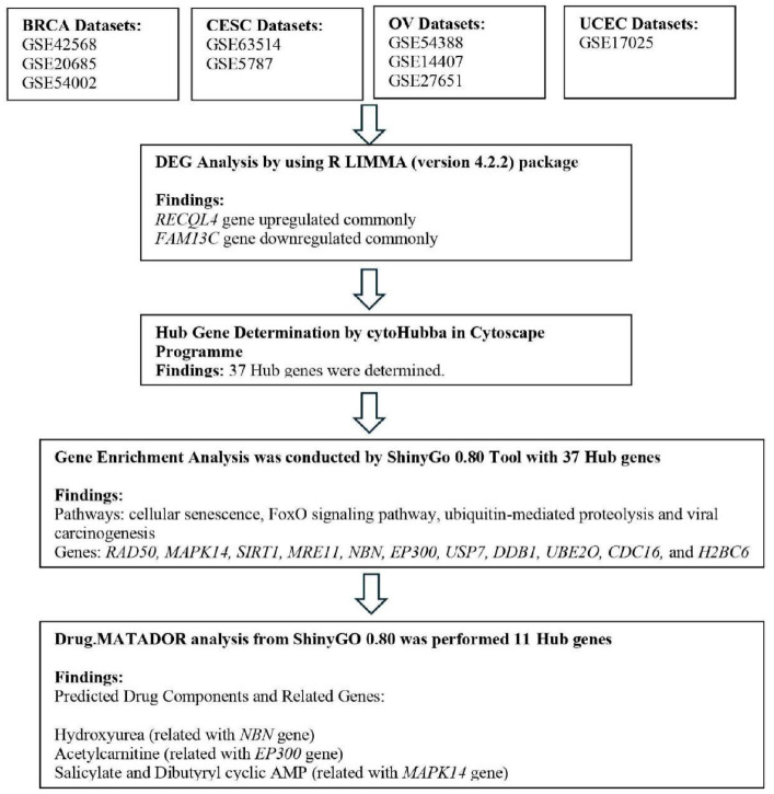 Bioinformatics Based Drug Repurposing Approach for Breast and Gynecological Cancers: <i>RECQL4/FAM13C</i> Genes Address Common Hub Genes and Drugs.