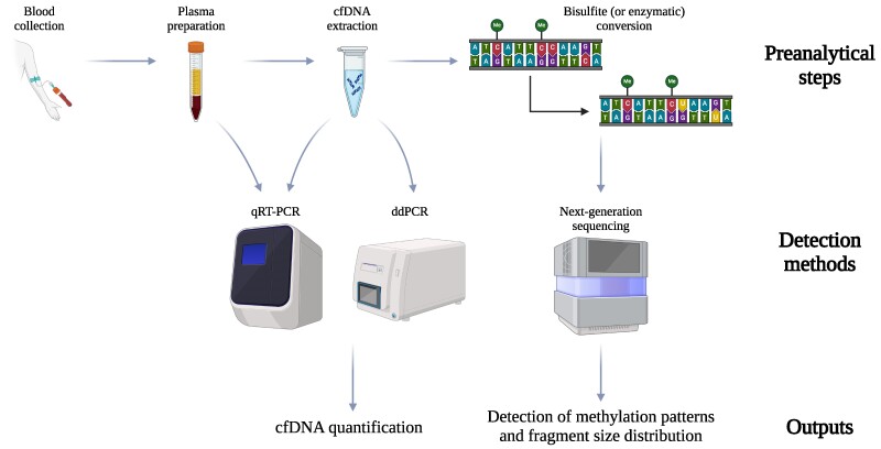 Circulating Cell-Free DNA in Metabolic Diseases.