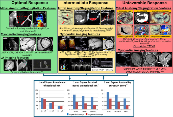 Identifying Responders to Transcatheter Interventions for Secondary Mitral Regurgitation.