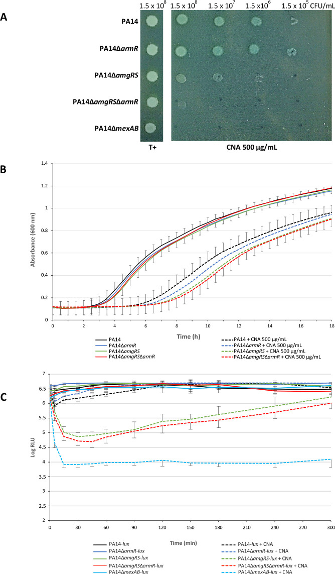 Role of the two-component system AmgRS in early resistance of <i>Pseudomonas aeruginosa</i> to cinnamaldehyde.