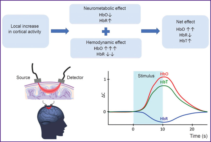 The Potential of Near-Infrared Spectroscopy as a Therapeutic Tool Following a Stroke (Review).
