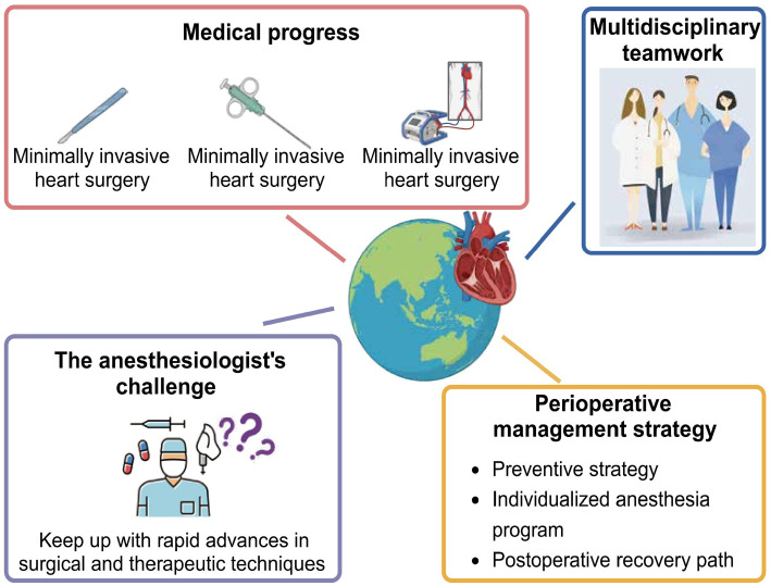 Transesophageal echocardiography: Revolutionizing perioperative cardiac care.