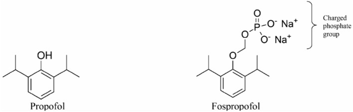 The Role of GABA Receptors in Anesthesia and Sedation: An Updated Review.