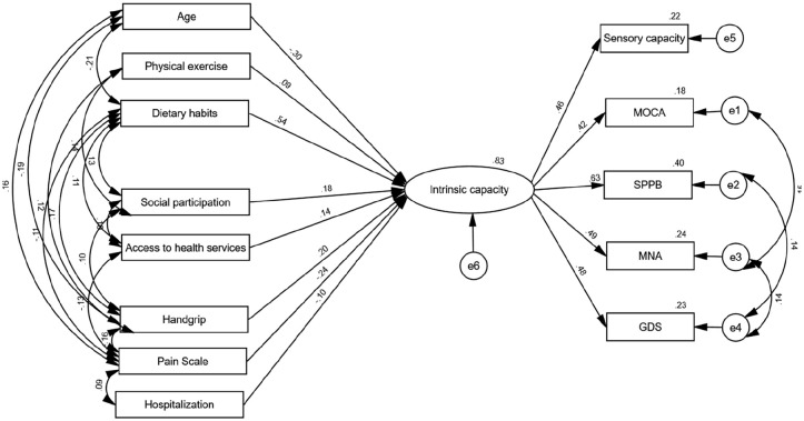 Intrinsic Capacity of Chinese Community-Dwelling Older Adults Using WHO Integrated Care for Older People (ICOPE) Framework: Structural Equation Model Analysis.