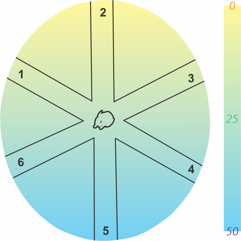 Development of a New Scoring System in Higher Animals for Testing Cognitive Function in the Newborn Period: Effect of Prenatal Hypoxia-Ischemia.