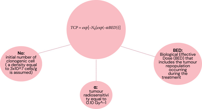 Lu-PRRT Used More Intensively on Advanced Gastro-Entero-Pancreatic and Lung Neuroendocrine Neoplasms: Preliminary Results on Toxicity from a Randomized Study.