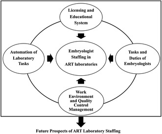 Embryologist staffing in assisted reproductive technology laboratories: An international comparative review.