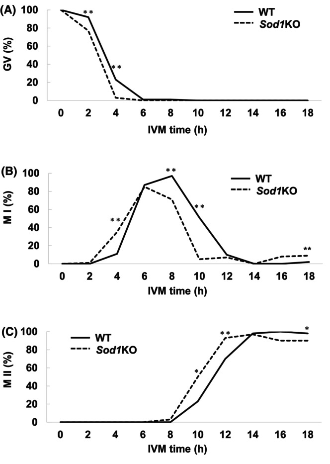 <i>Sod1</i> deficiency in mouse oocytes during in vitro maturation increases chromosome segregation errors with a reduced BUBR1 at kinetochore.
