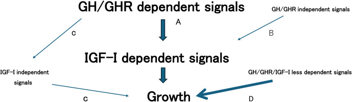 Current understanding and perspectives on growth and long-acting GH therapy in Japan.