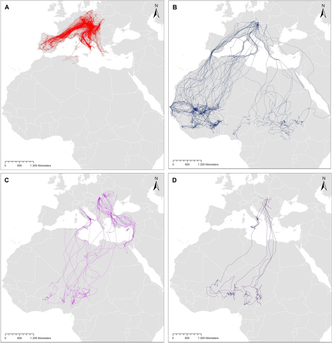 Evidence of genetic determination of annual movement strategies in medium-sized raptors.