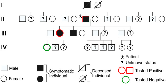 Novel <i>SPAST</i> Deletion Mutation in an American Family With Hereditary Spastic Paraplegia: A Case Report.