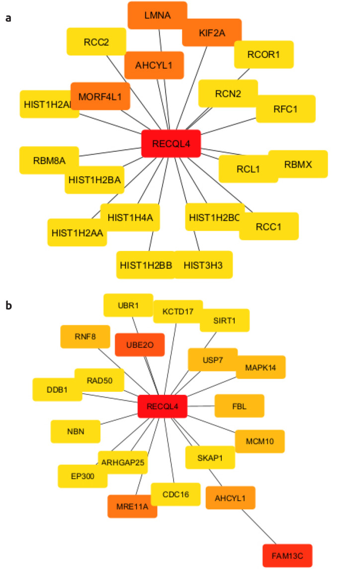 Bioinformatics Based Drug Repurposing Approach for Breast and Gynecological Cancers: <i>RECQL4/FAM13C</i> Genes Address Common Hub Genes and Drugs.