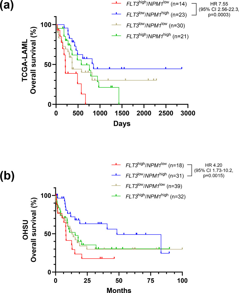 FLT3 and NPM1 mRNA expression-based risk stratification of de novo acute Myeloid Leukemia