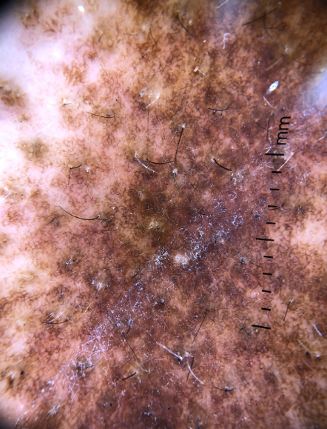 Abstract Image