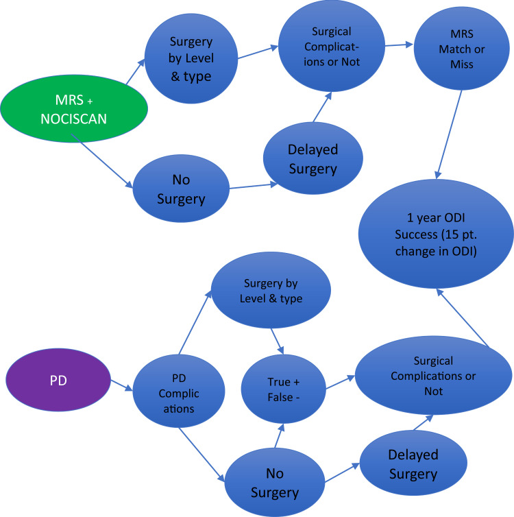 The Comparison of Cost-Effectiveness Between Magnetic Resonance Spectroscopy and Provocative Discography in the Identification of Chronic Low Back Pain Surgery Candidates.