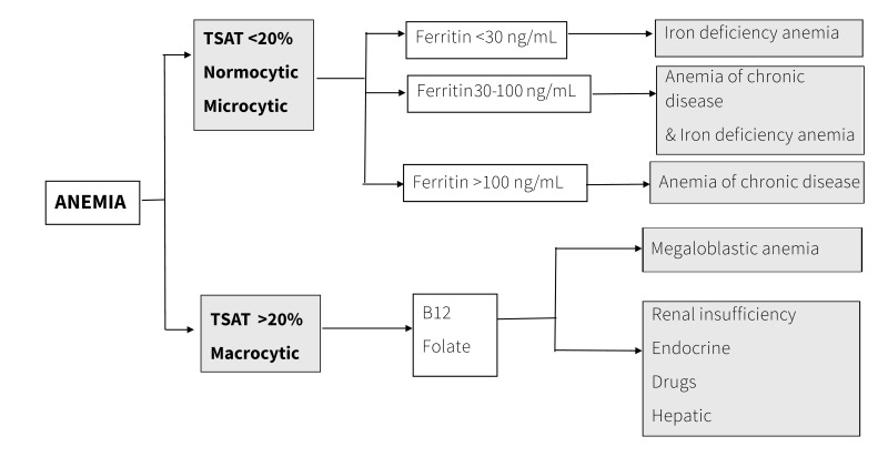 Postoperative anemia: prevention without cure is not enough.