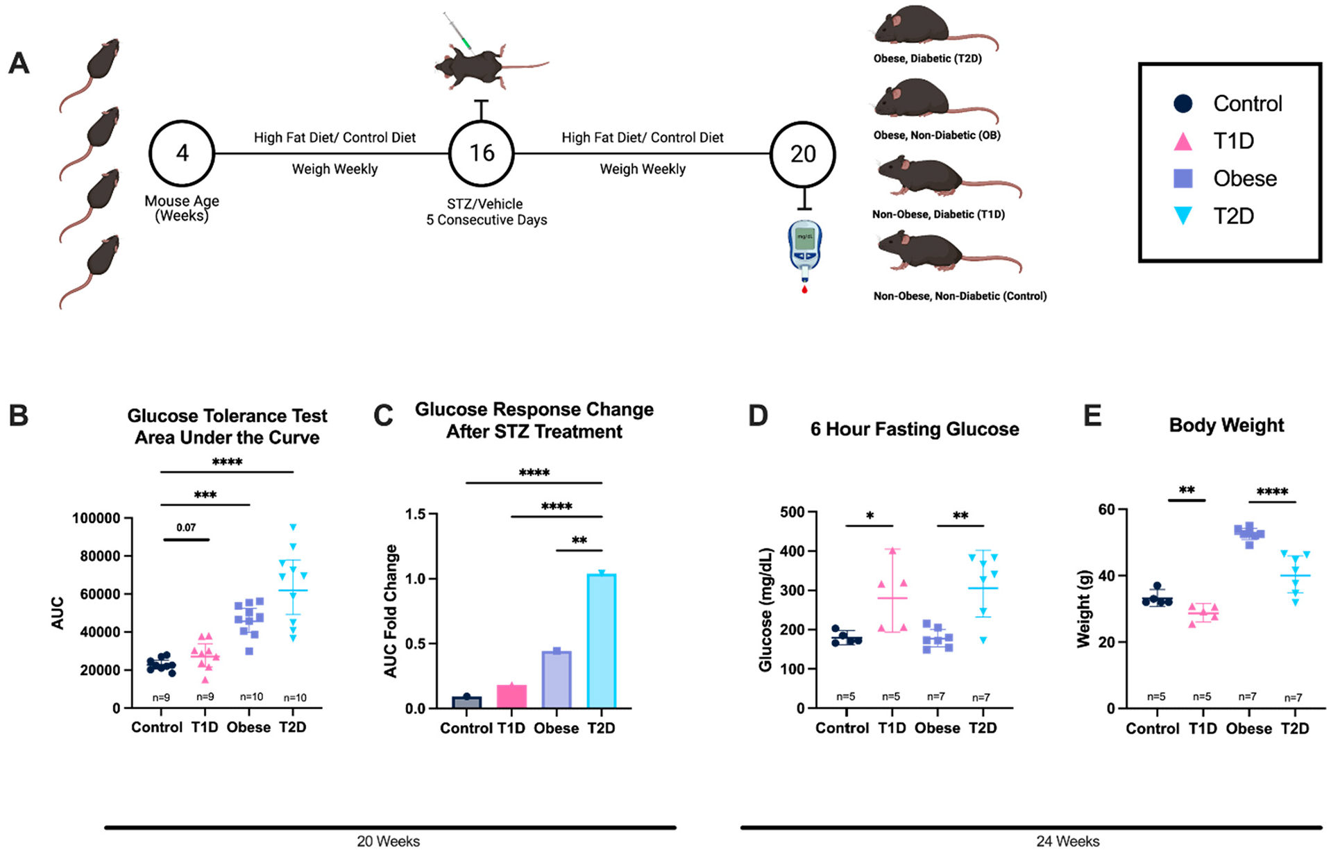 Impact of Metabolic States on SARS-CoV-2 Vaccine Responses in Mouse Models of Obesity and Diabetes.