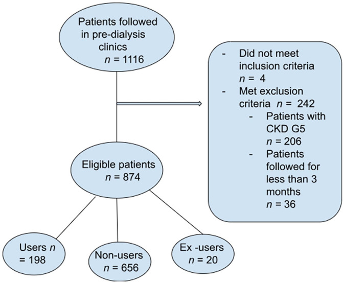 Real-Time Use of SGLT2i Verified in Pre-dialysis: The RSVP Cross-sectional Study.