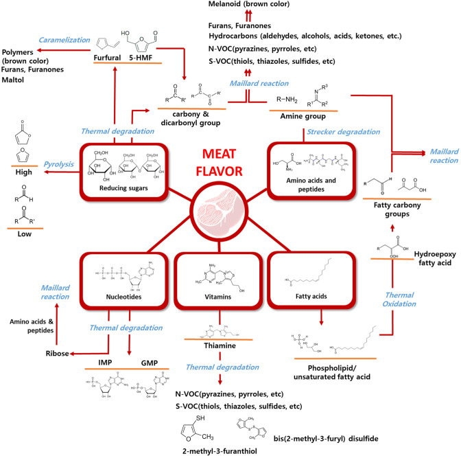 Effective Strategies for Understanding Meat Flavor: A Review.