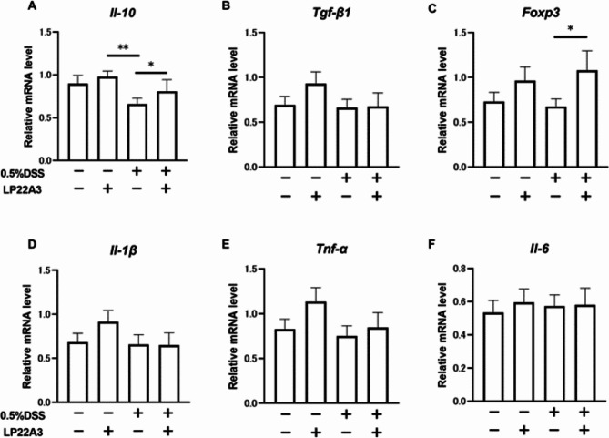Lactiplantibacillus plantarum 22 A-3 ameliorates leaky gut in mice through its anti-inflammatory effects.