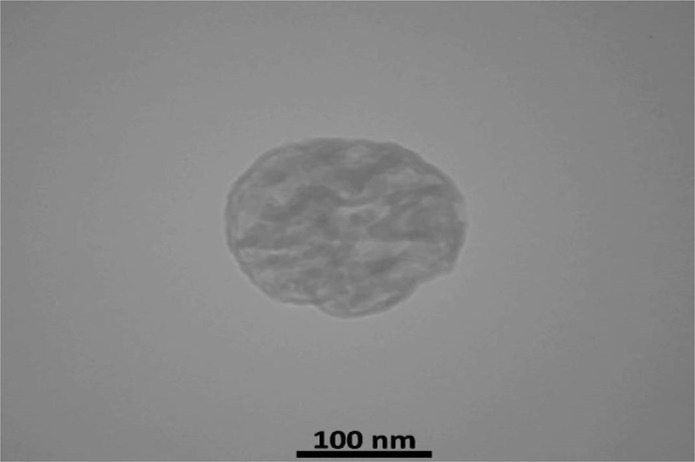 Microfluidic-Synthesized Chitosan Nanoparticles Loaded with Azithromycin: Impact on <i>Toxoplasma gondii</i> Tissue Cysts in Mouse Model.