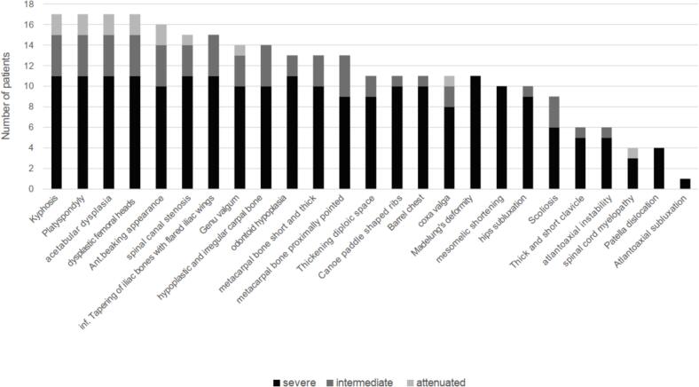 Long-term outcomes of enzyme replacement therapy from a large cohort of Korean patients with mucopolysaccharidosis IVA (Morquio A syndrome)