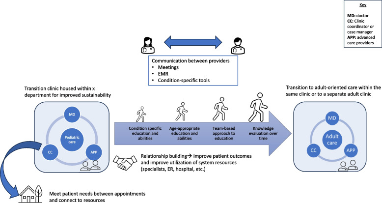 Clinician perspectives on designing and implementing a hereditary cancer transition clinic.