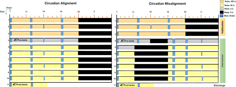 Impact of Circadian Rhythm Disturbance and Chronotype on Medical Students' Mental State.