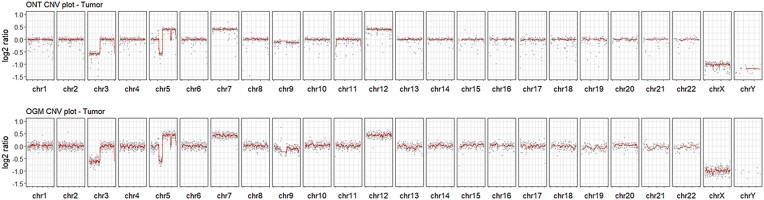 Long-read structural and epigenetic profiling of a kidney tumor-matched sample with nanopore sequencing and optical genome mapping.