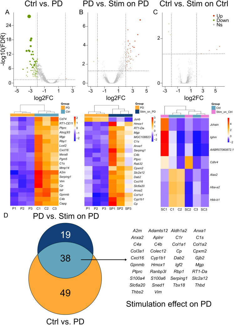 Cortical Stimulation-Based Transcriptome Shifts on Parkinson's Disease Animal Model.